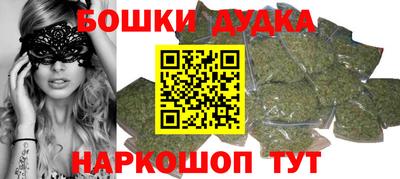 дмт Будённовск
