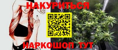 дмт Будённовск