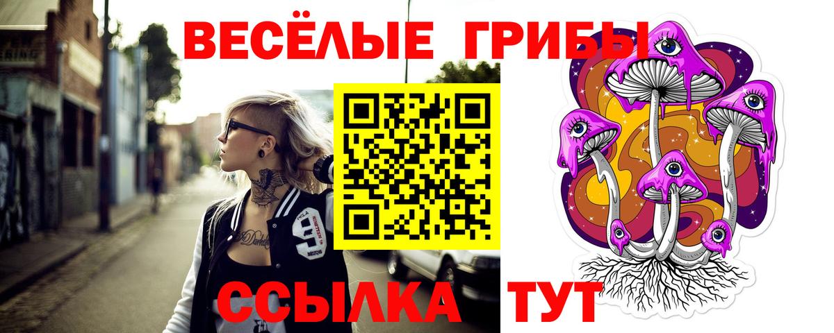 Псилоцибиновые грибы MAGIC MUSHROOMS  Псилоцибиновые грибы прущие грибы  Новозыбков  Вход с VPN 
