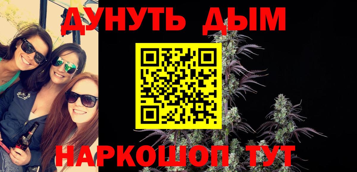 Шишки марихуана планчик Новозыбков